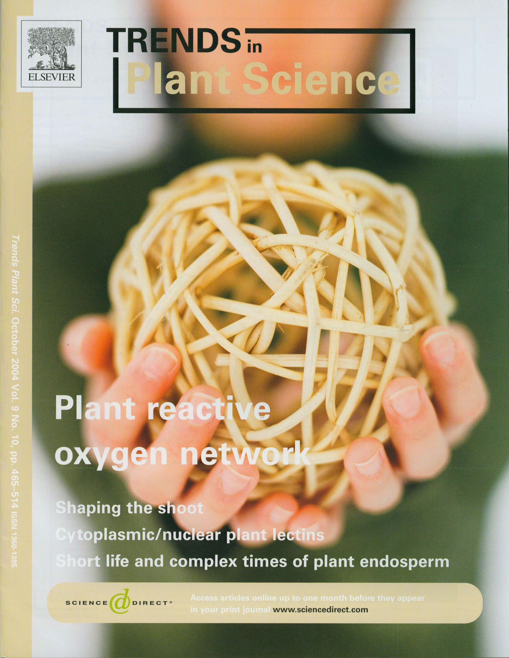 2004 Trends in Plant Science Cover
